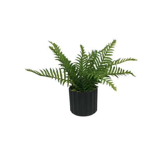 Black Botanica Textured Potted Fern (30cm)