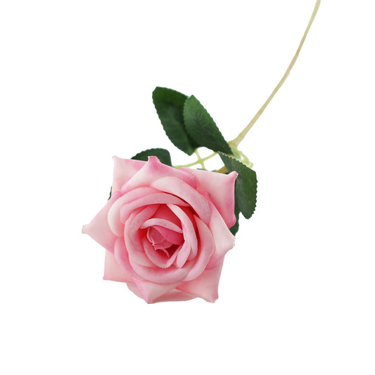 Essential Pink Rose