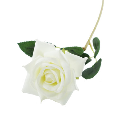 Essential White Rose