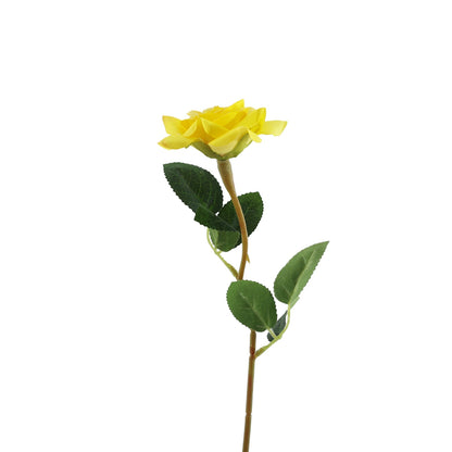 Essential Yellow Rose