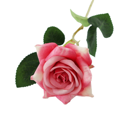 Essential Dark Pink Rose