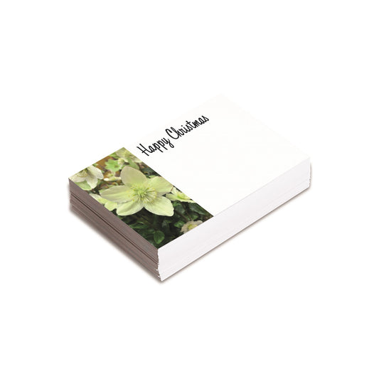 Christmas Hellebore Florist Card (Pack of 25)