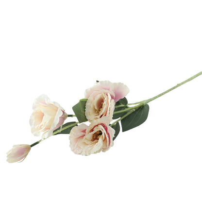 Essential Pale Pink Lisianthus