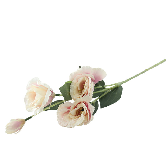 Essential Pale Pink Lisianthus