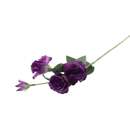 Essential Purple Lisianthus