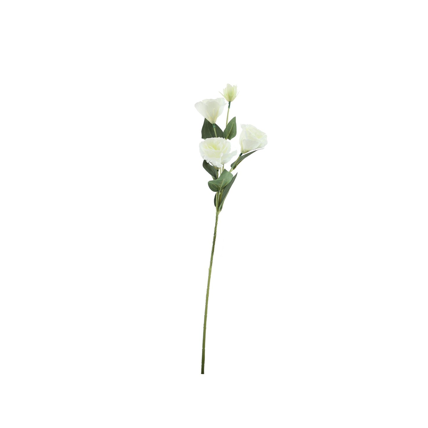 Essential White Lisianthus