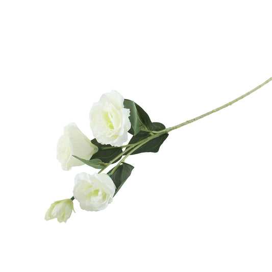 Essential White Lisianthus