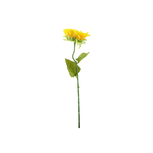 Essential Yellow Sunflower