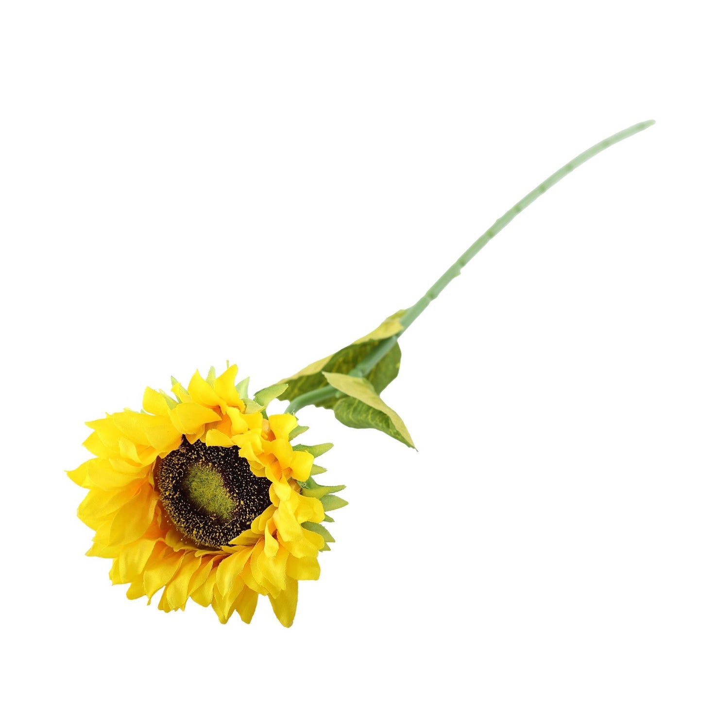 Essential Yellow Sunflower