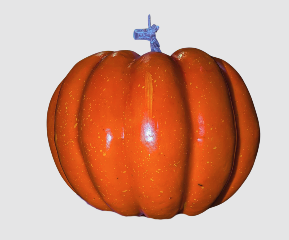 Pumpkin (18cm x 20cm)