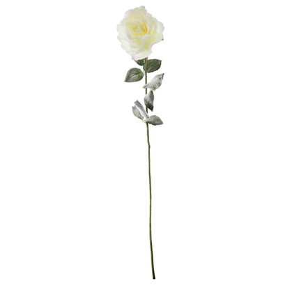 Snowy White English Rose (72cm)