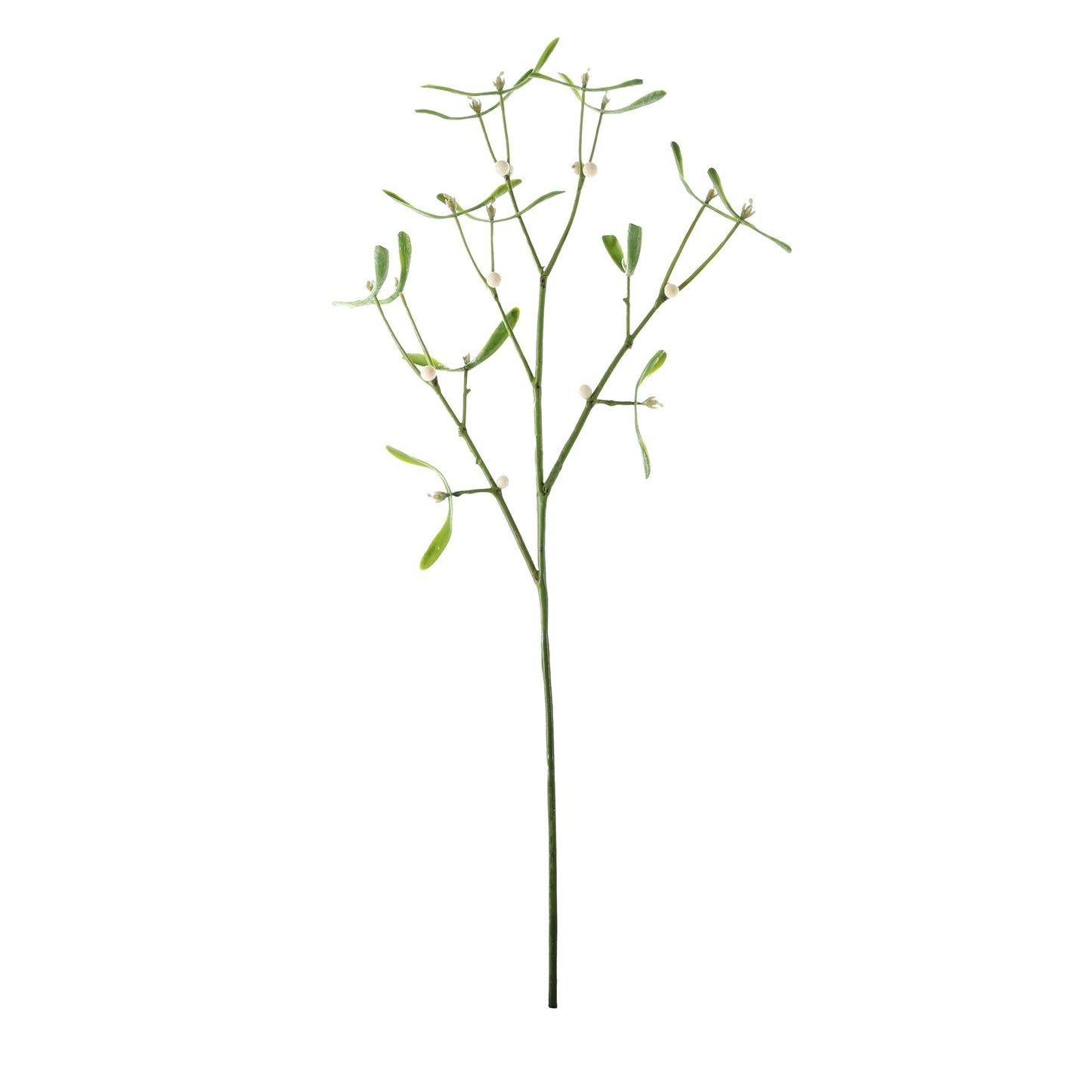 Green Mistletoe Sprig (60cm)