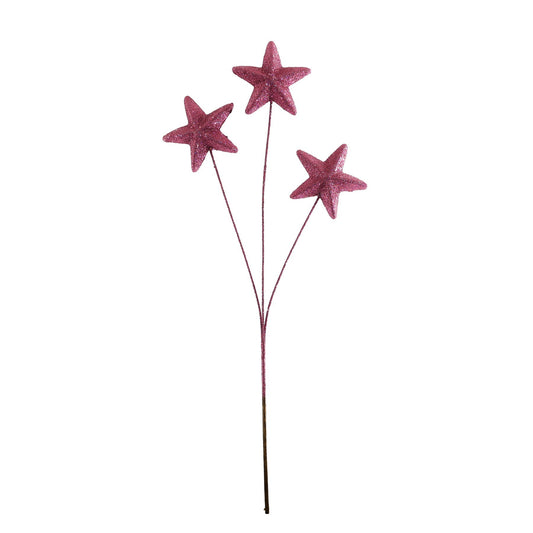 Cerise Glitter Star Spray