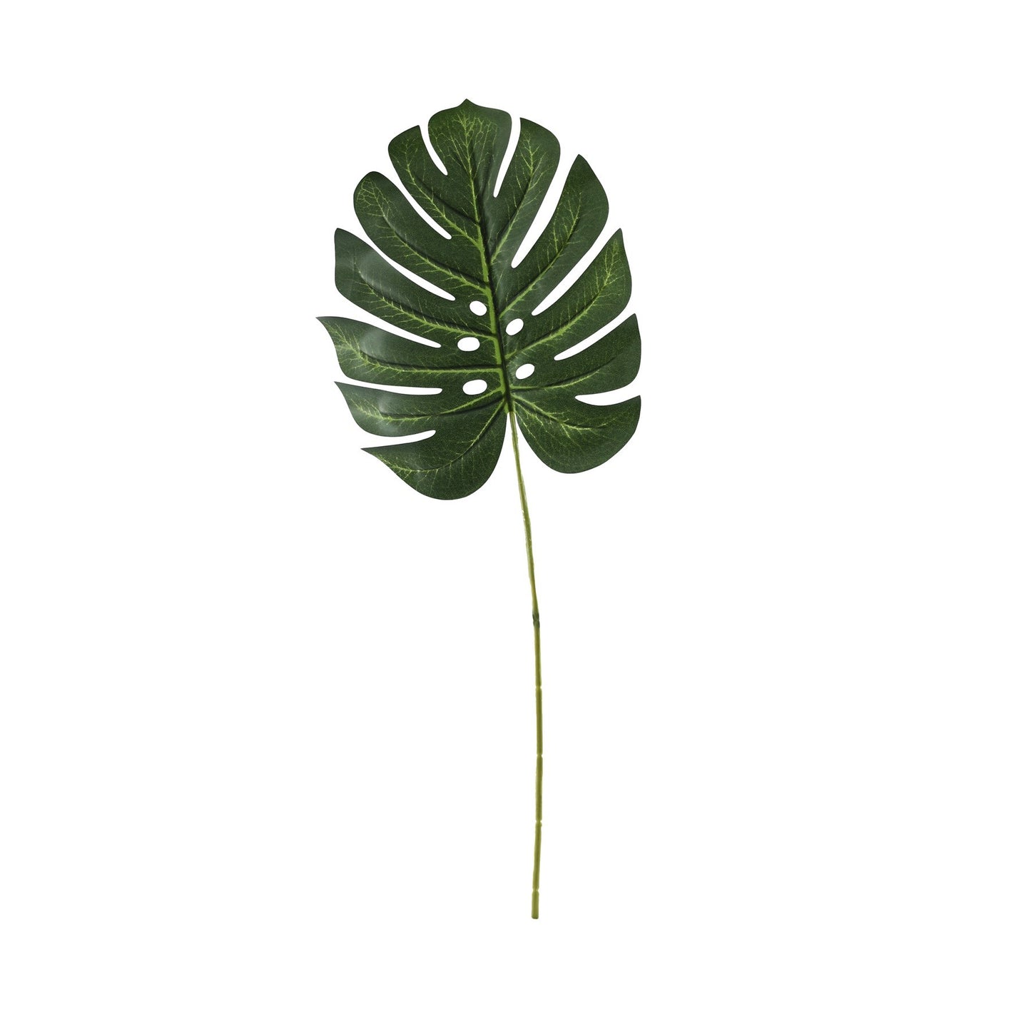 Essential Small Green Monstera Leaf