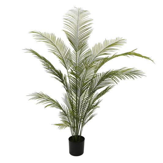 Botanica Areca Palm in Pot (180cm)