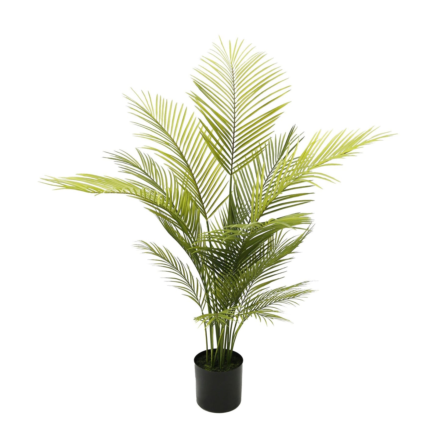 Botanica Areca Palm in Pot (129cm)