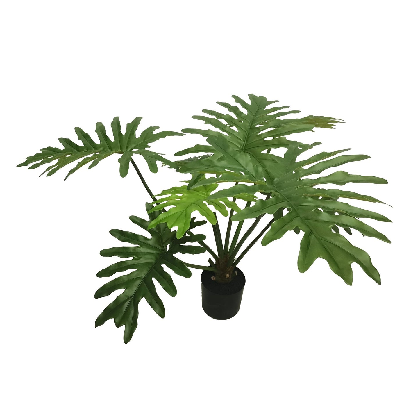 Botanica Philodendron Plant in pot (92cm)