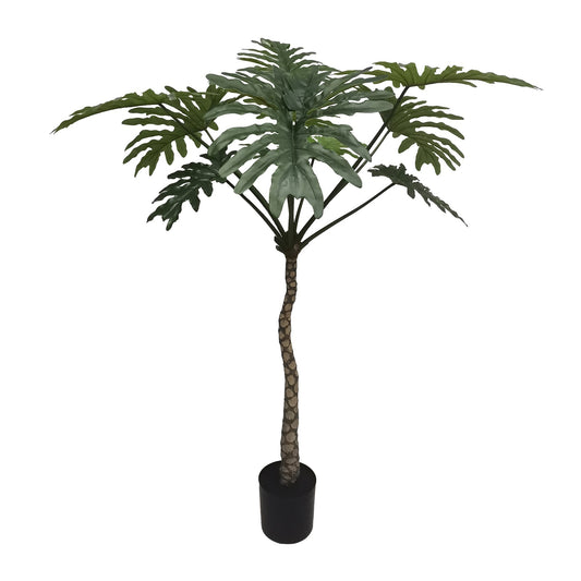 Botanica Philodendron Plant in pot (160cm)