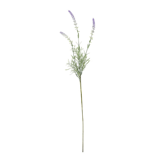 Essential Lavender Stem