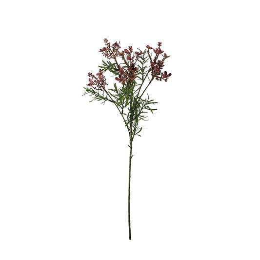 Essential Lavender Broom Bloom