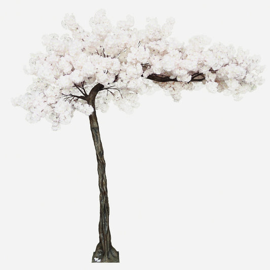 Cream Blossom Tree (3.2m)