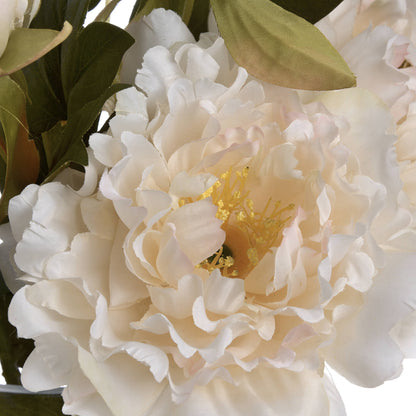 White Fashion Peony