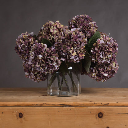 Autumn Burgundy Hydrangea