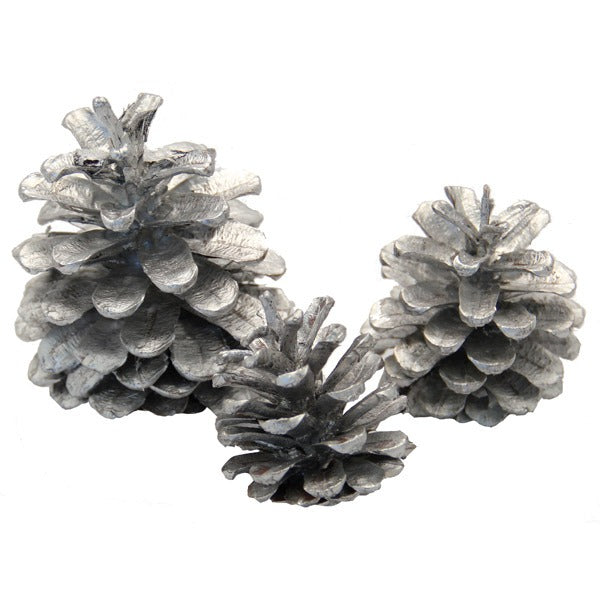 Silver Austriaca Cones 1kg