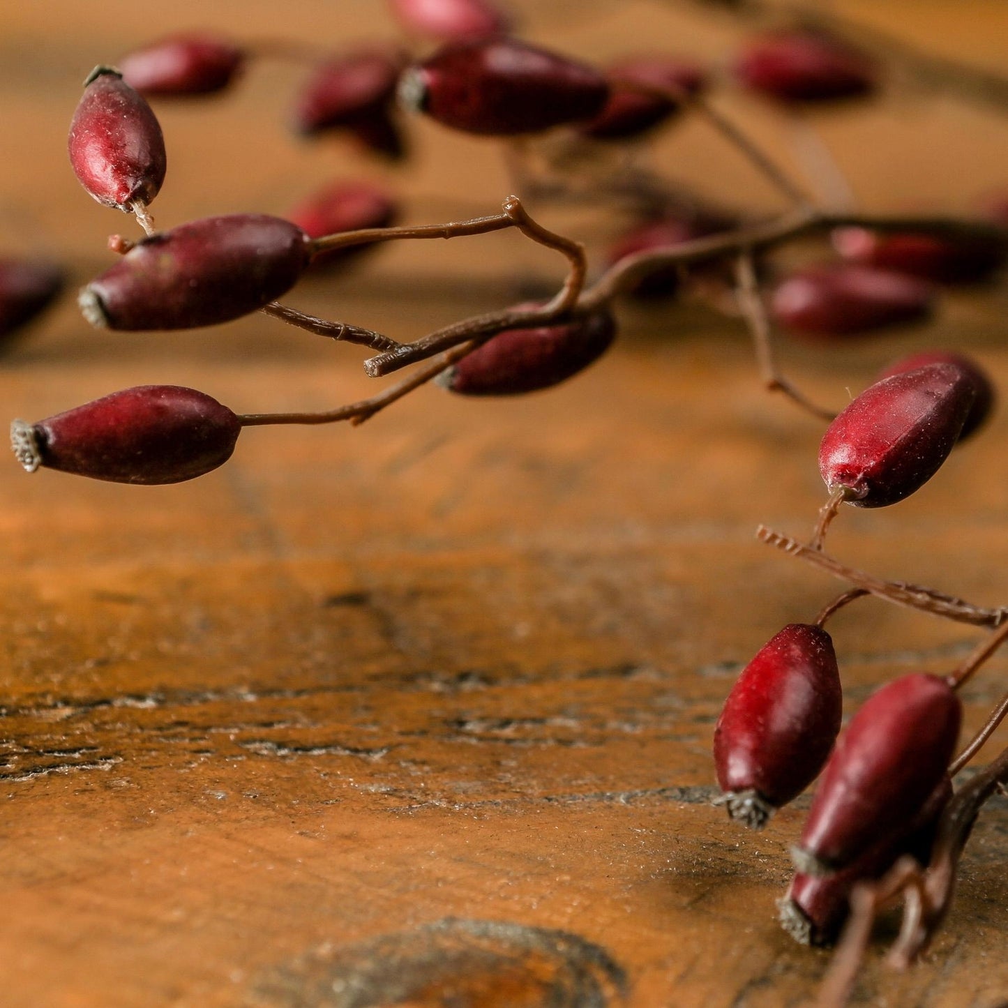 Burgundy Rosehip Stem