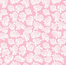 Baby Pink Cut Out Roses Film