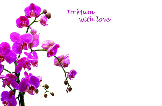 To Mum with Love Pink Orchid Card (x50)