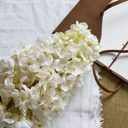 White  Spear Hydrangea