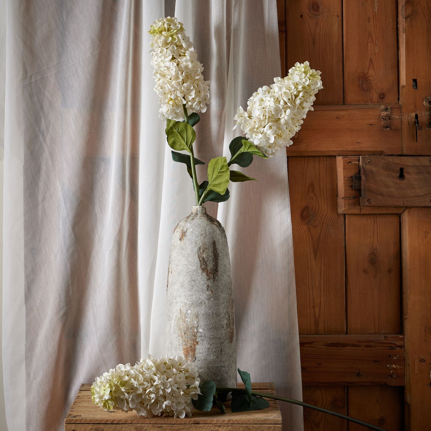 White  Spear Hydrangea