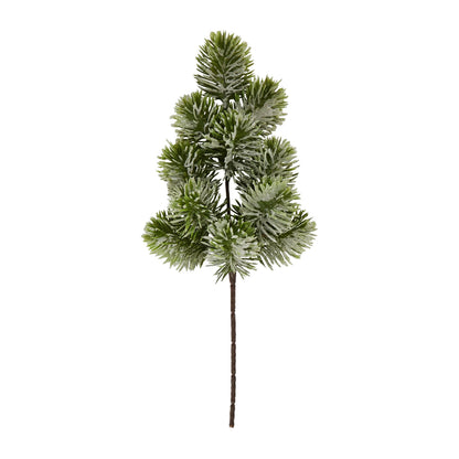 Frosted Pine Single Stem