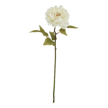 The Natural Garden Collection White Peony