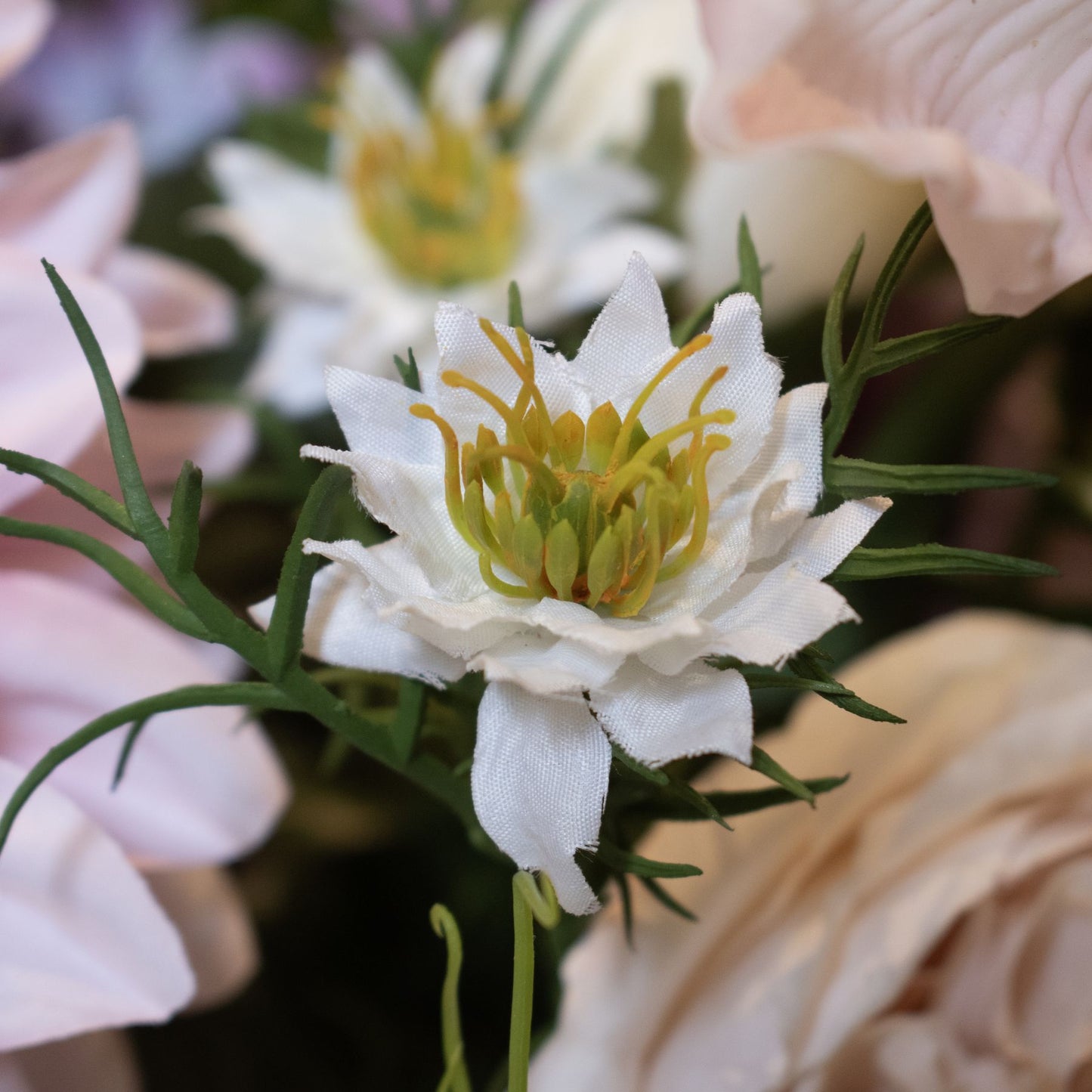 The Natural Garden Collection White Nigella Love In A Mist