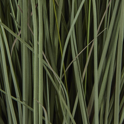 Large Fountain Grass Plant In Pot