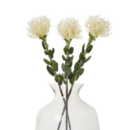 Cream Pincushion Protea Spray