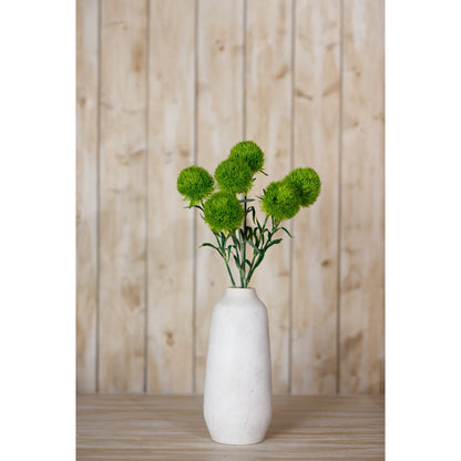 Light Green Dianthus Stem