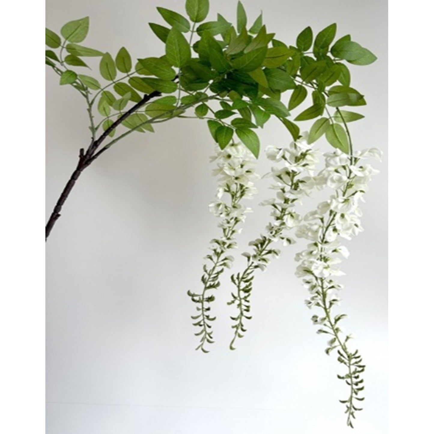 Large White Wisteria Spray