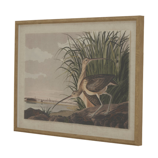 Flora & Fauna Collection Curlews On Linen In Beaded Frame