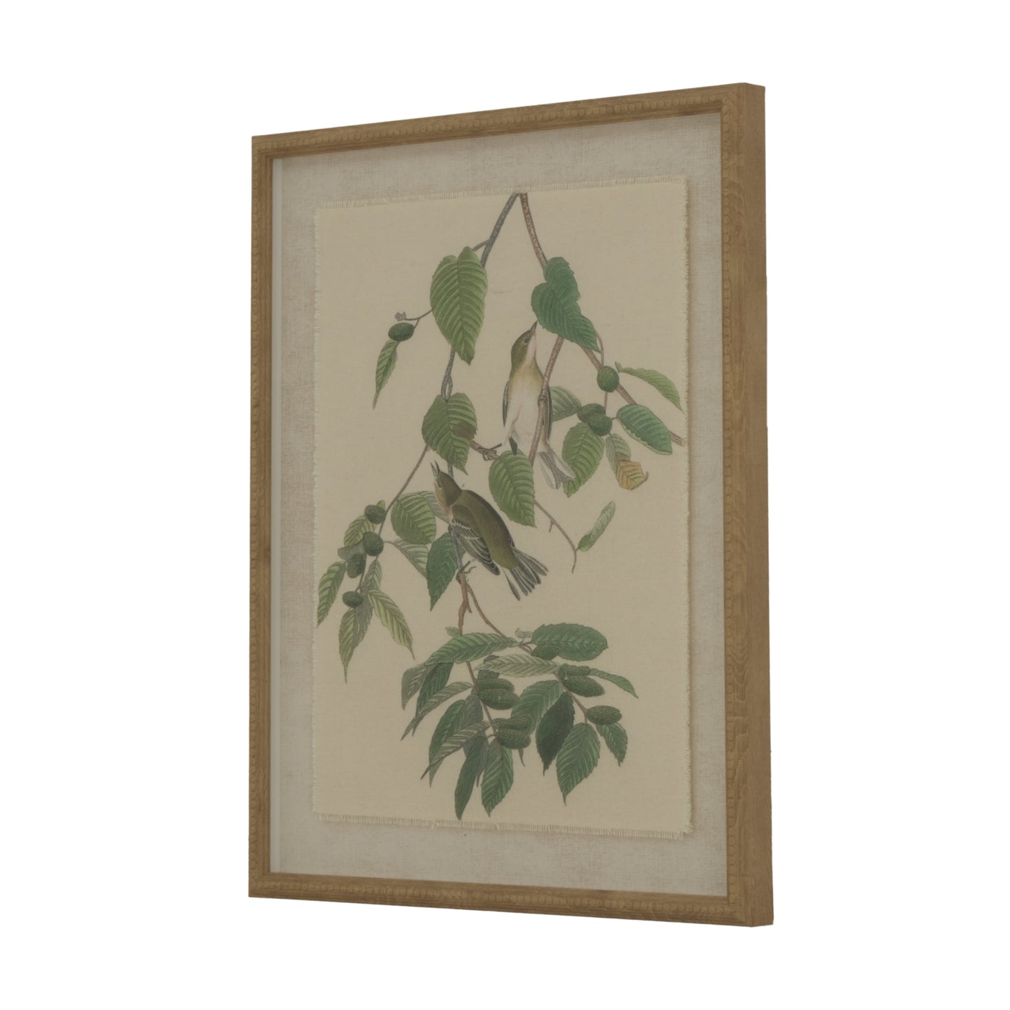 Flora & Fauna Collection Warblers On Linen In Beaded Frame