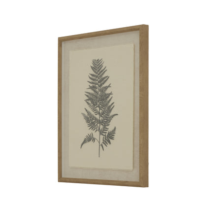 Flora & Fauna Collection Beech Fern On Linen In Beaded Frame