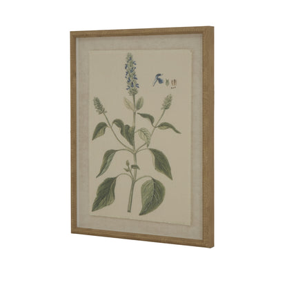 Flora & Fauna Collection Salvia On Linen In Beaded Frame