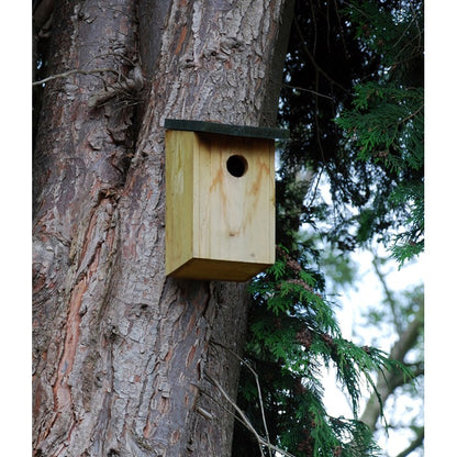 Kingfisher Wooden Bird Nesting Box