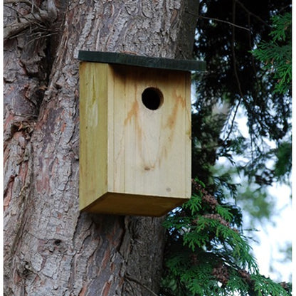 Kingfisher Wooden Bird Nesting Box