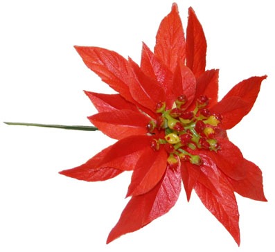 Red Poinsettia (6.5inch)