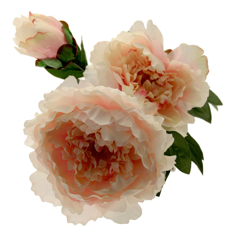 Peony Pink (83cm)