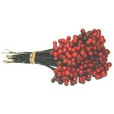 Red Plastic Berry Pick (7 inch)