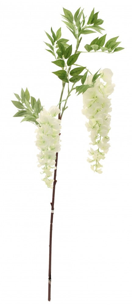 Two Head Wisteria White 90cm